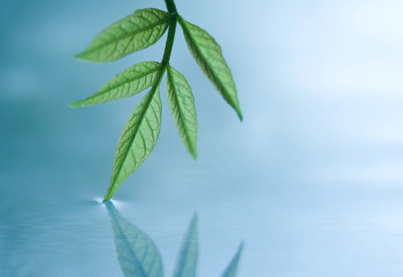 anamaya-ayurveda-holistic-natural-treatments-retreats (12)