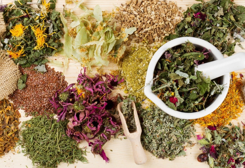 anamaya-ayurveda-holistic-natural-treatments-retreats (16)